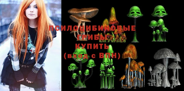 винт Бугульма