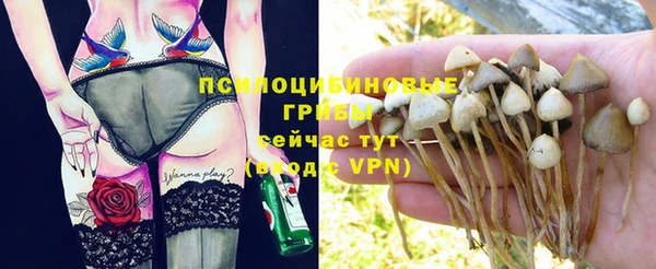 винт Бугульма