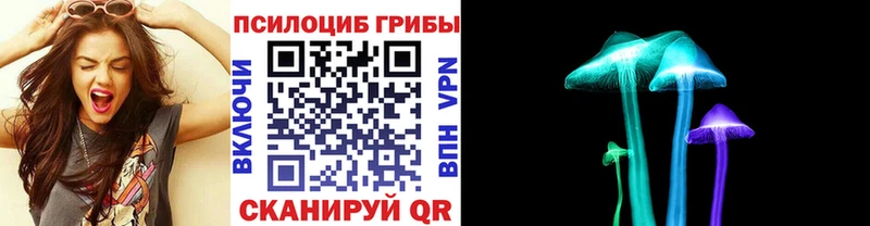 Псилоцибиновые грибы Psilocybe  продажа наркотиков  Выборг 